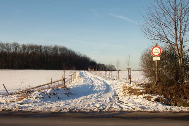 Qwetsche-Allee (Winter 2001 2002)
