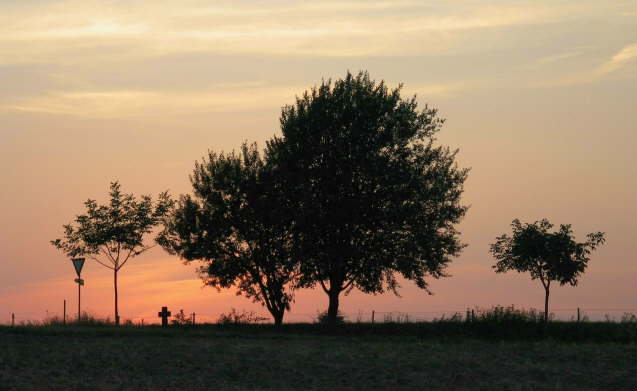 Ochtendunger Hhe bei Sonnenuntergang (Sommer 2003)